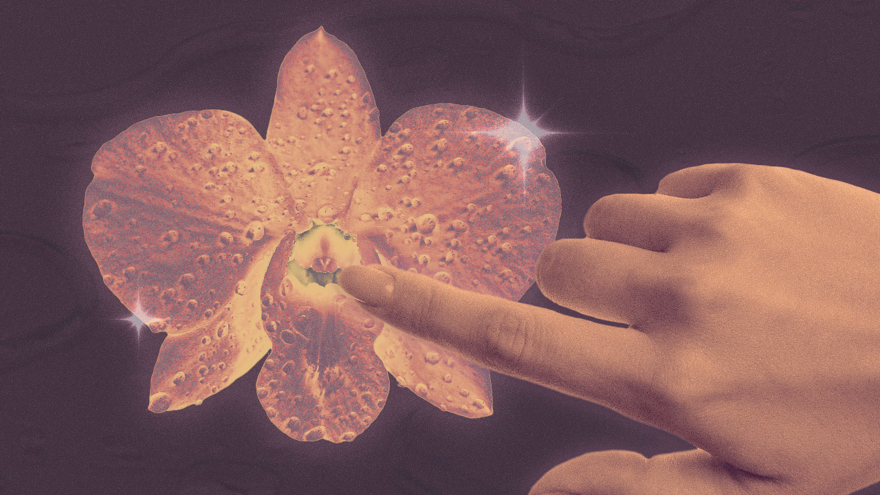 A woman stroking the inside of a flower that looks similar to a clitoris